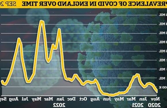 Experts warn UK is ALREADY at the start of 'devastating' Covid wave