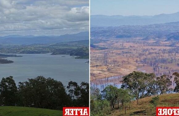 Extraordinary photo shows the extent of Australia's record rainfall