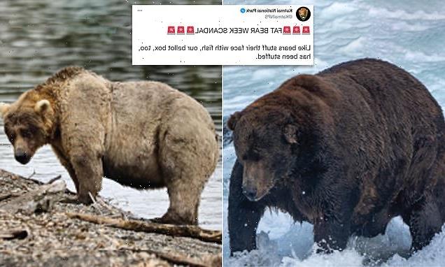 Fat Bear Week is rocked by cheating claims