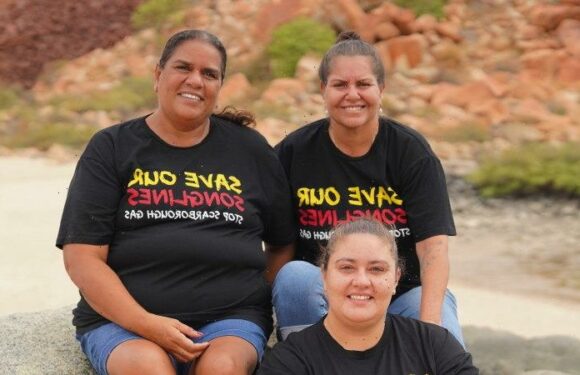 Feds launch inquiry into WA gas plant, rock art clash