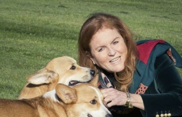Fergie beams in new pic with Queen’s corgis calling them the ‘presents that keep giving’