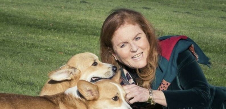 Fergie beams in new pic with Queen’s corgis calling them the ‘presents that keep giving’