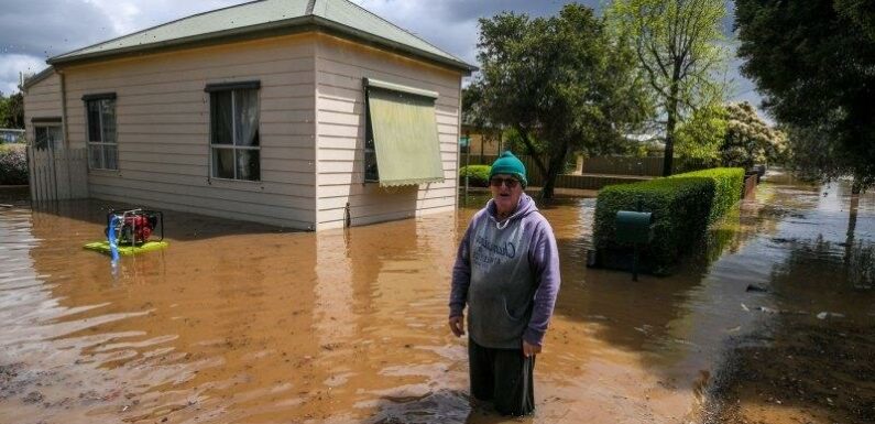 From gutting to drying: The slog ahead for residents as floods recede