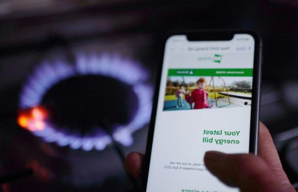 Full list of energy firm grants including British Gas and Octopus – how to apply for £1,500 off bills | The Sun