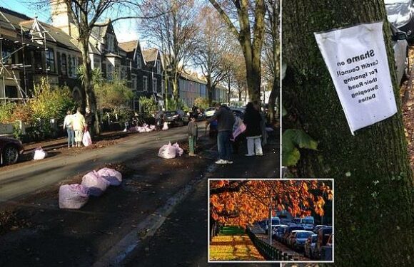 Fury as Cardiff asks residents to sweep up leaves from city's streets
