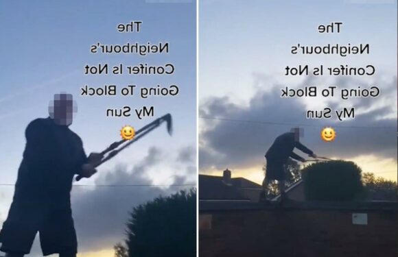 Gardener divides opinion as he cuts neighbour's 'nightmare' bush to stop it 'blocking sun to his garden' | The Sun