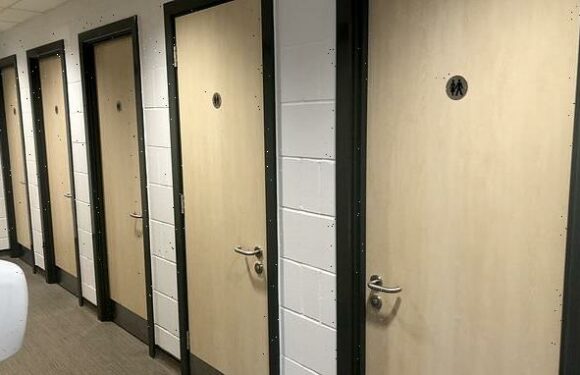 Gender-neutral toilets for schools mulled by the government