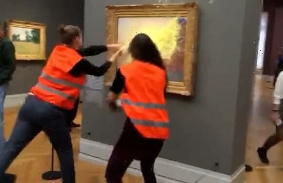 German climate activists throw MASH POTATOES over Monet's 'Les Meules'