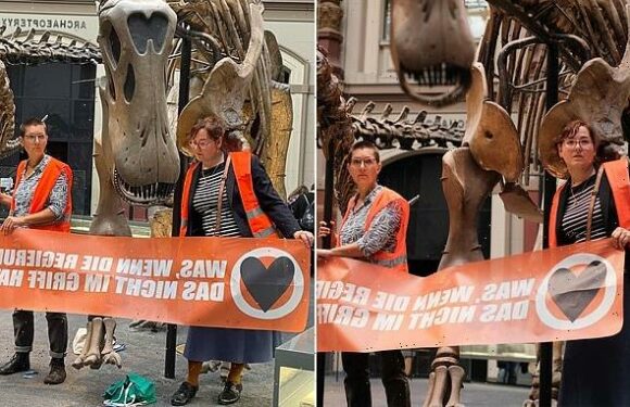German climate change activists glue themselves to DINOSAUR in Berlin