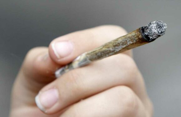 Germany to LEGALISE cannabis with possession and sale of drug for recreational use to be allowed | The Sun