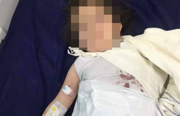 Girl, 3, has her arm torn off by a bear after reaching into beast’s enclosure at Iraqi zoo from hell | The Sun