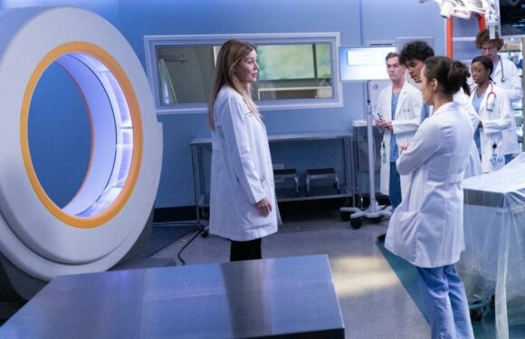 Greys Anatomy: Krista Vernoff On Pilot-Like Season 19 Premiere, Derek-Related Twist, Merediths Future, Roe v Wade & More