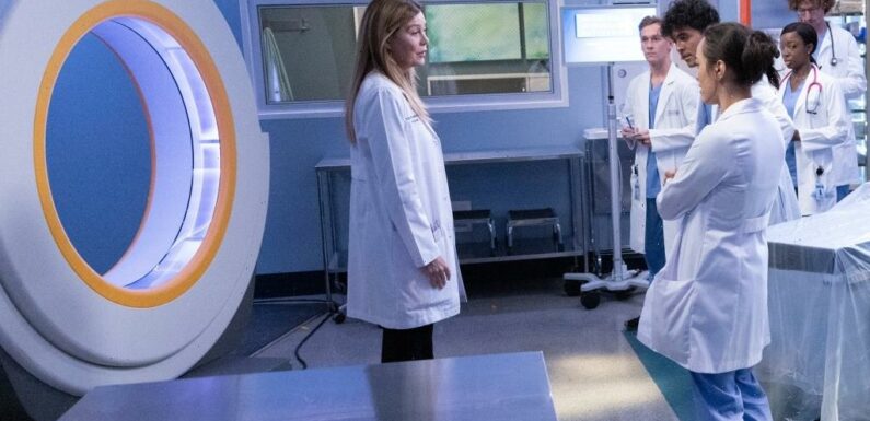 Greys Anatomy: Krista Vernoff On Pilot-Like Season 19 Premiere, Derek-Related Twist, Merediths Future, Roe v Wade & More