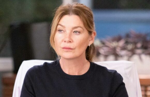 Greys Anatomy fans all have same unexpected reaction as show returns for season 19