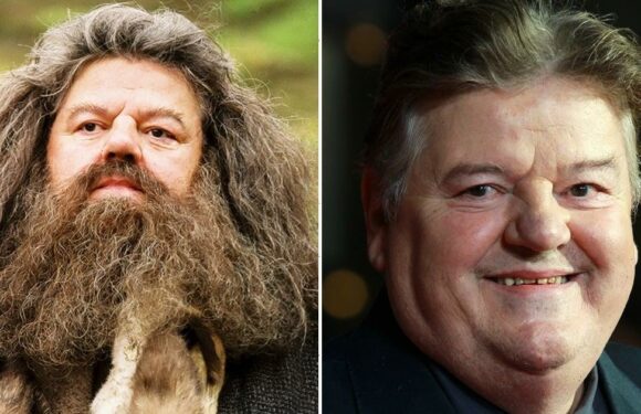 Harry Potter Actor Robbie Coltrane Has Died at 72