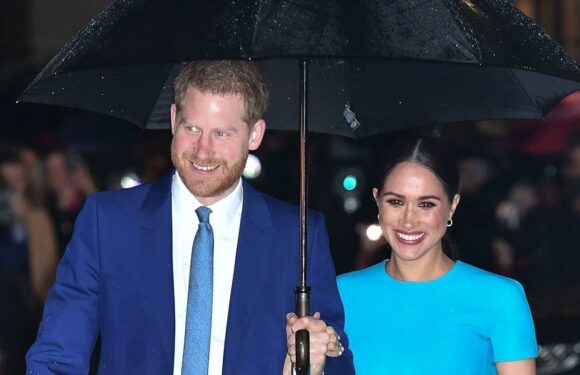 Harry and Meghan Enjoy Date Night at a Jack Johnson Concert: Pic