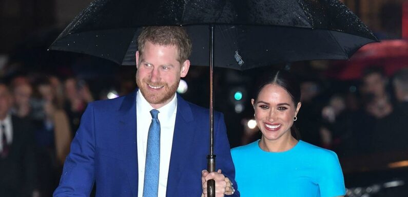 Harry and Meghan Enjoy Date Night at a Jack Johnson Concert: Pic