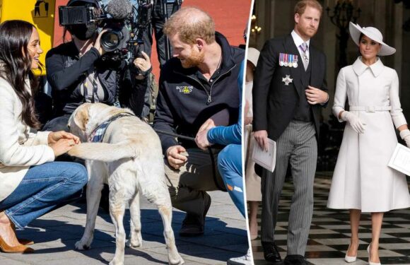 Harry and Meghans much-anticipated Netflix doc delayed amid backlash: report