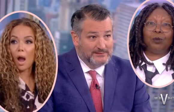 Hecklers Interrupt The View's Interview With Ted Cruz! But Whose Side Are Viewers On??