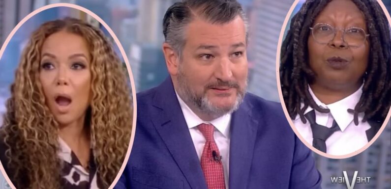 Hecklers Interrupt The View's Interview With Ted Cruz! But Whose Side Are Viewers On??