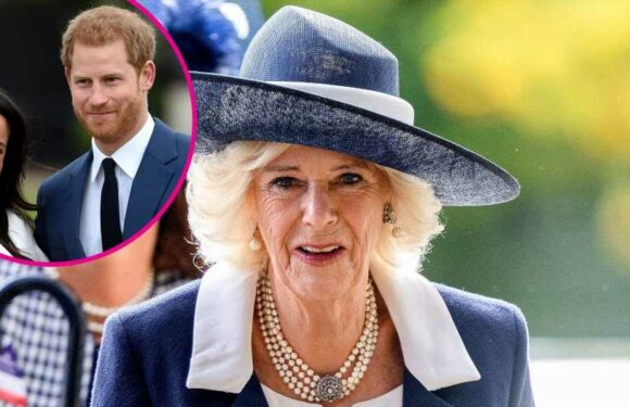How Queen Consort Camilla Honors Family, Including Harry, Meghan in New Pic