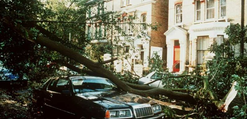 How strong were the winds in Great Storm of 1987? | The Sun