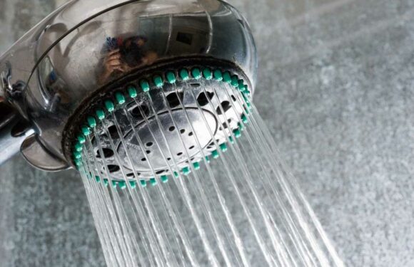How to clean a shower including shower head, tiles and glass screen | The Sun