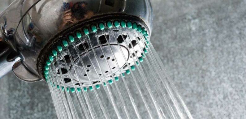 How to clean a shower including shower head, tiles and glass screen | The Sun