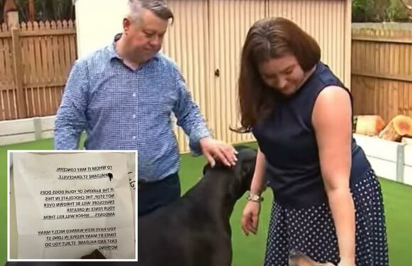 I am a dog owner – I received a TERRIFYING note from our neighbours after our dogs wouldn’t stop barking | The Sun