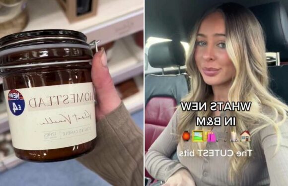 I can’t resist a B&M haul and they have some of the nicest things in to overhaul your home – here’s my top buys | The Sun