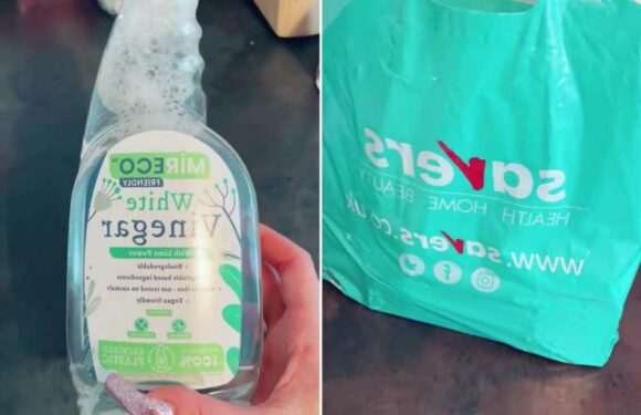 I did my cleaning products haul from Savers and got a bag full of goodies to keep my home spotless for under £10 | The Sun