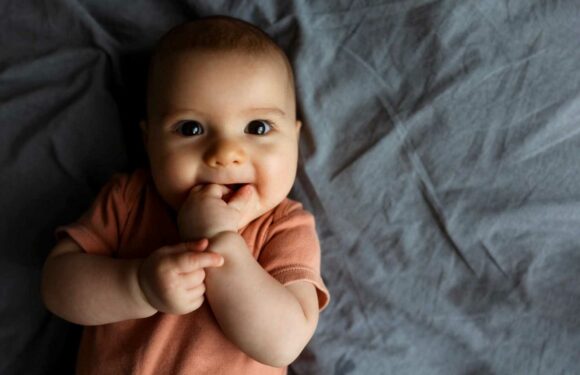 I found the perfect unique name for my son but everyone says it reminds them of an animal | The Sun