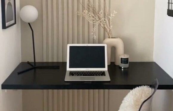 I had a small, dead space behind a door in my house – I transformed it into a mini office area and people are amazed | The Sun