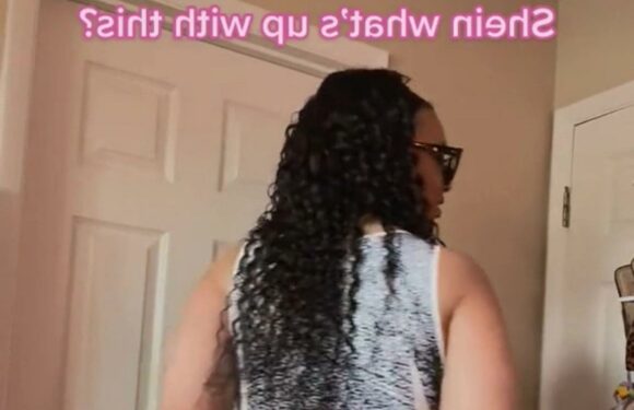 I ordered what I thought was a cute dress from Shein… but when I tried it on I realised how indecent it looked | The Sun