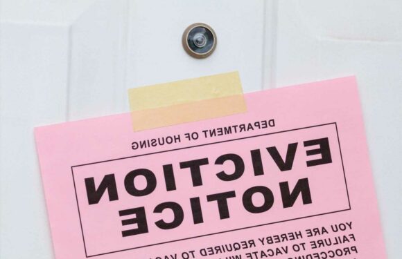 I spent a lot of money improving my flat and garden…now my landlord is kicking me out to sell it – I'm furious | The Sun