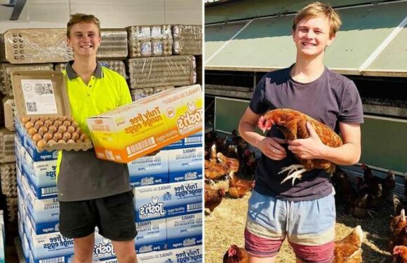 I started a side-hustle aged 9 selling my pet hens’ eggs for pocket money – now I run a multi-million-pound business | The Sun