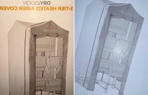 I thought I'd bagged the biggest bargain when I nabbed an air dryer online – when it arrived I realised my mistake | The Sun