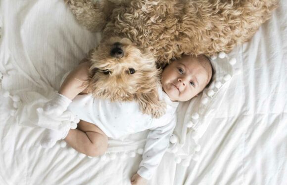 I thought my sister was joking about what she wanted to call her son – it's a dog's name, he'll be bullied for life | The Sun