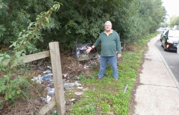 I took the council to court over my messy street and WON – here's how I did it | The Sun