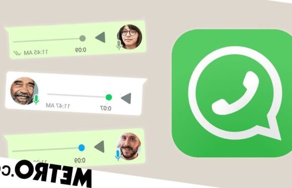 If you regularly receive WhatsApp voice notes, life's about to get much easie