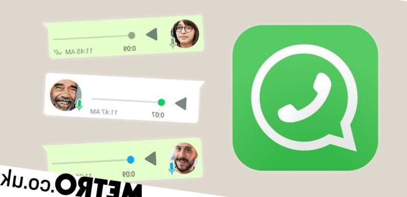 If you regularly receive WhatsApp voice notes, life's about to get much easie