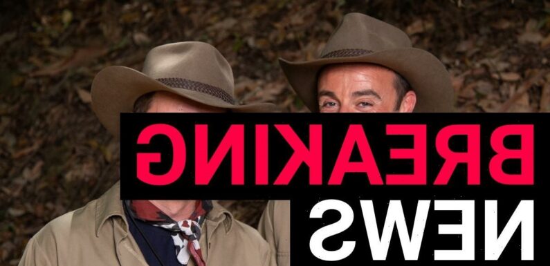 I'm A Celebrity 2022 start date officially confirmed