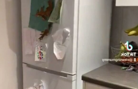 I’m a cleaning guru & there's an easy way to fix a 'smelly fridge' – & it's all down to a secret compartment | The Sun