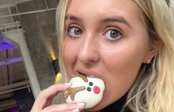 I’m a foodie, everything to look out for at M&S this Christmas from festive Colin the Caterpillars to Percy Pig slushies | The Sun