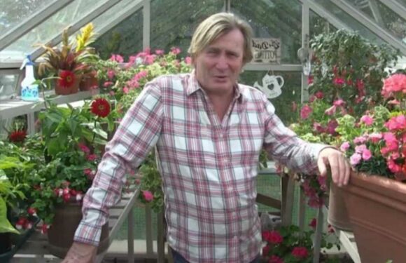 I’m a gardening expert – here’s how to protect your plants from cold weather | The Sun