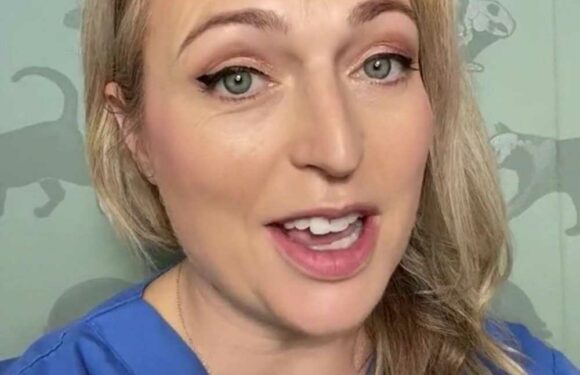 I’m a vet and there are five dog breeds I’d never own – including one that’s always suspicious and anxious | The Sun