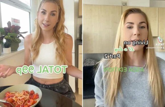 I’m an extreme budgeter and I can live off £1-a-day food shop – five best bargains I discovered in Asda, Tesco and Lidl | The Sun