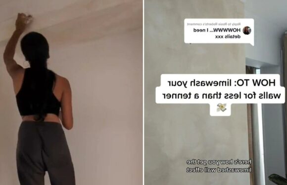 I’m an interior whizz and here’s how to create a limewash wall for under a tenner – it's so quick and easy too | The Sun