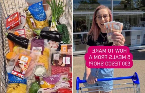 I’m budget savvy and can make a £30 shop last a week – here’s what I cook and exactly what’s on my shopping list | The Sun