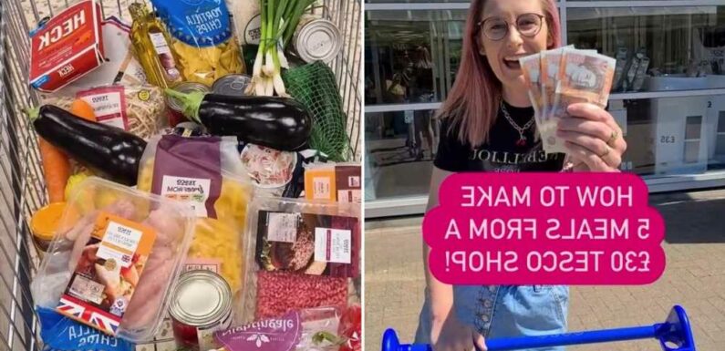 I’m budget savvy and can make a £30 shop last a week – here’s what I cook and exactly what’s on my shopping list | The Sun